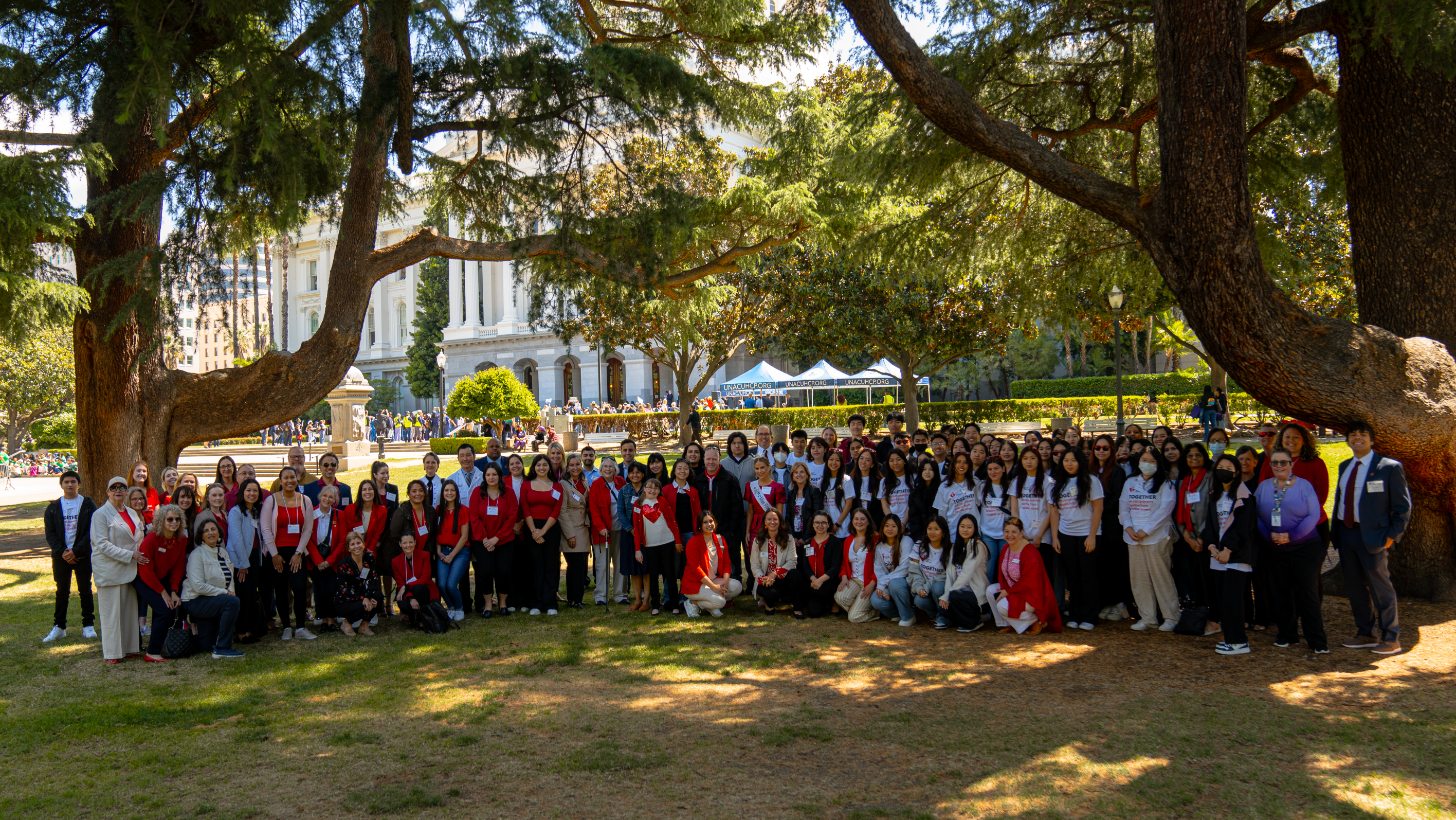 Large group of people post under the trees