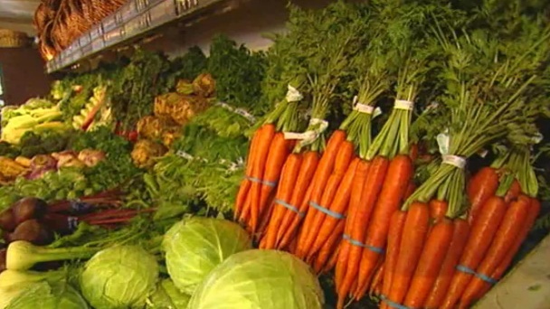 Fresh vegetables in a grocery store.